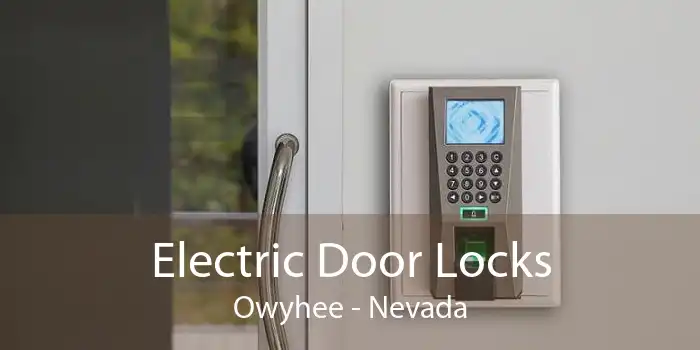 Electric Door Locks Owyhee - Nevada