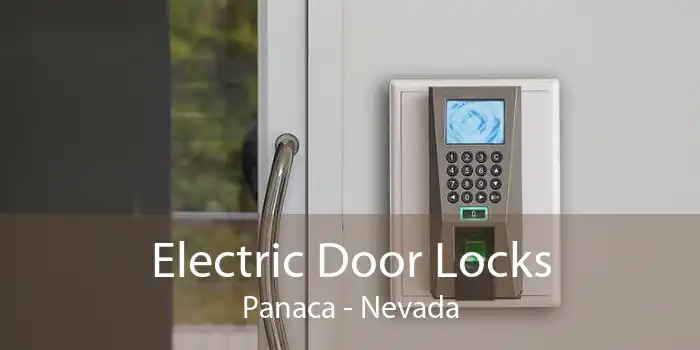 Electric Door Locks Panaca - Nevada