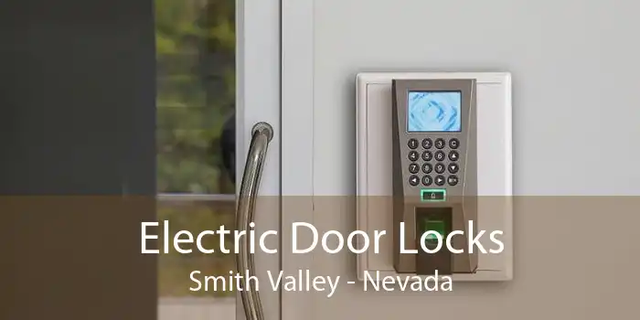 Electric Door Locks Smith Valley - Nevada