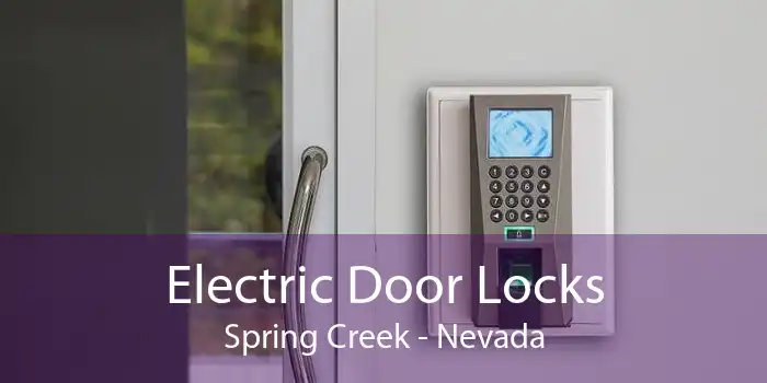 Electric Door Locks Spring Creek - Nevada