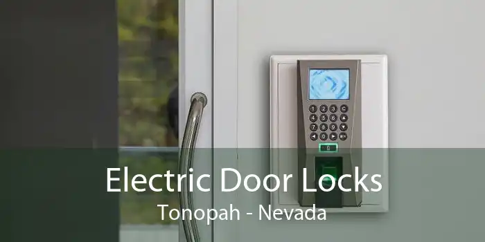 Electric Door Locks Tonopah - Nevada