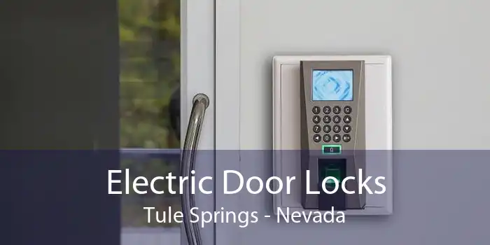 Electric Door Locks Tule Springs - Nevada