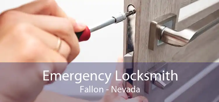 Emergency Locksmith Fallon - Nevada