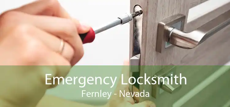 Emergency Locksmith Fernley - Nevada