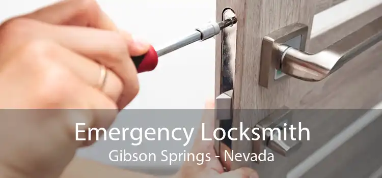 Emergency Locksmith Gibson Springs - Nevada