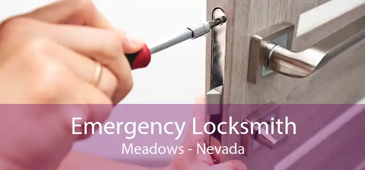Emergency Locksmith Meadows - Nevada