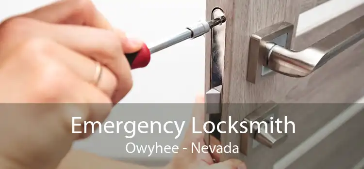Emergency Locksmith Owyhee - Nevada