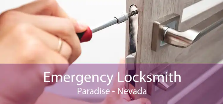 Emergency Locksmith Paradise - Nevada