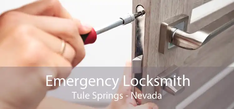Emergency Locksmith Tule Springs - Nevada