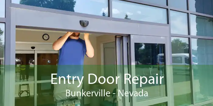 Entry Door Repair Bunkerville - Nevada