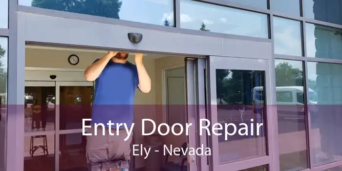 Entry Door Repair Ely - Nevada