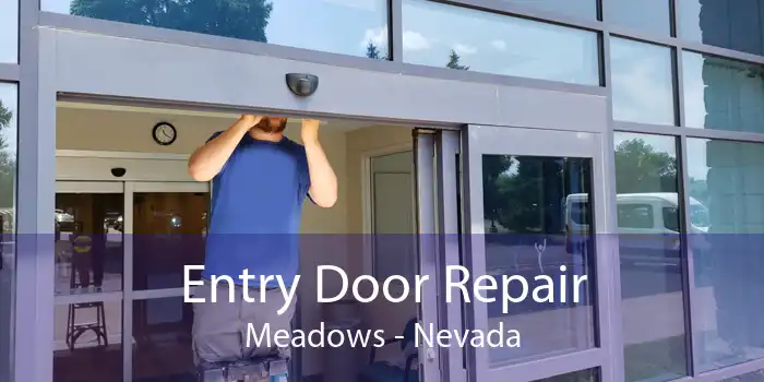 Entry Door Repair Meadows - Nevada