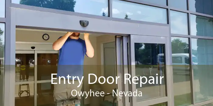 Entry Door Repair Owyhee - Nevada