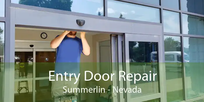 Entry Door Repair Summerlin - Nevada