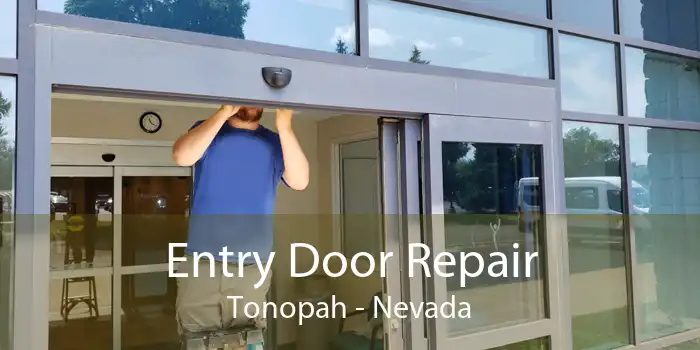 Entry Door Repair Tonopah - Nevada