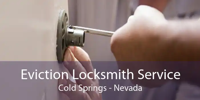 Eviction Locksmith Service Cold Springs - Nevada