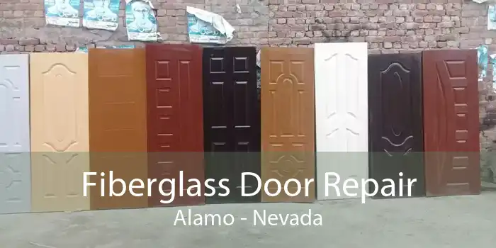 Fiberglass Door Repair Alamo - Nevada