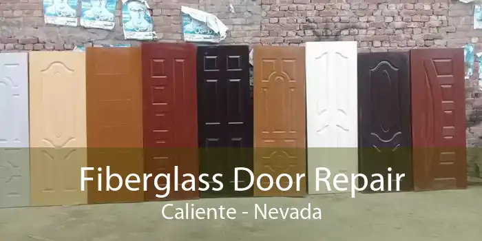 Fiberglass Door Repair Caliente - Nevada