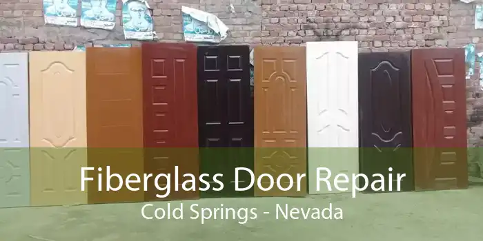 Fiberglass Door Repair Cold Springs - Nevada