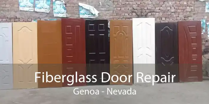 Fiberglass Door Repair Genoa - Nevada