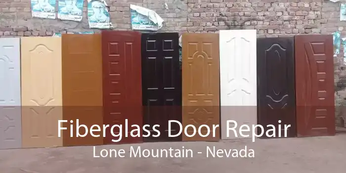 Fiberglass Door Repair Lone Mountain - Nevada