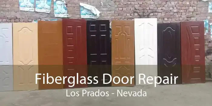 Fiberglass Door Repair Los Prados - Nevada