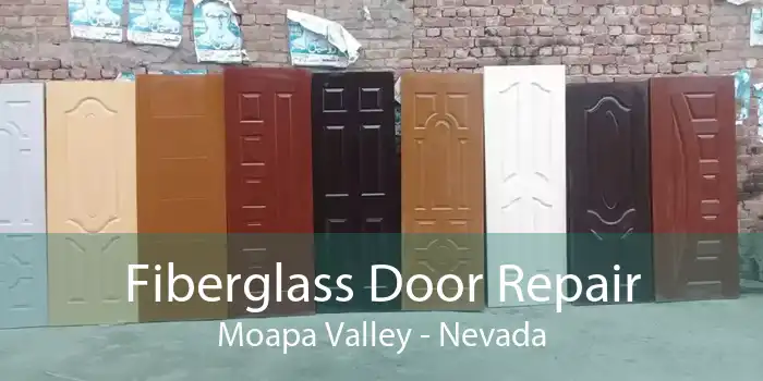 Fiberglass Door Repair Moapa Valley - Nevada
