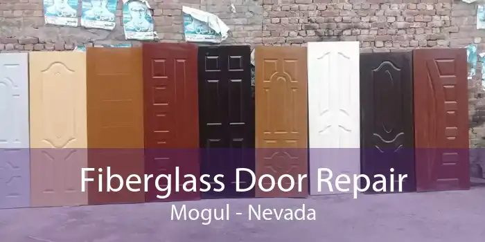 Fiberglass Door Repair Mogul - Nevada