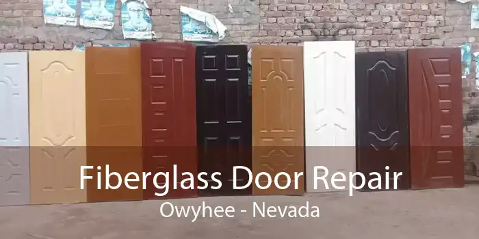 Fiberglass Door Repair Owyhee - Nevada