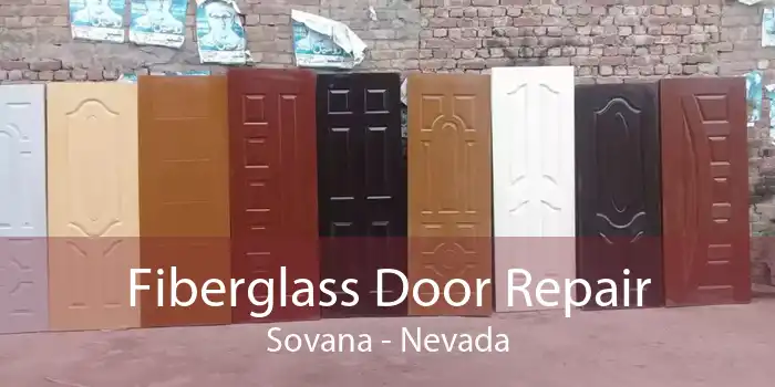 Fiberglass Door Repair Sovana - Nevada