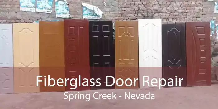 Fiberglass Door Repair Spring Creek - Nevada