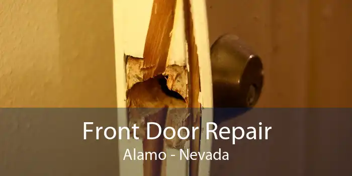 Front Door Repair Alamo - Nevada