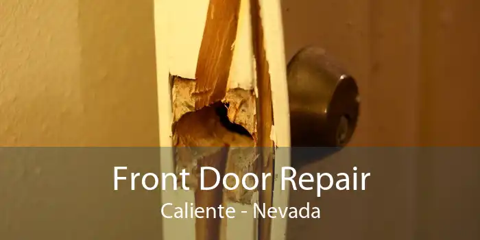 Front Door Repair Caliente - Nevada