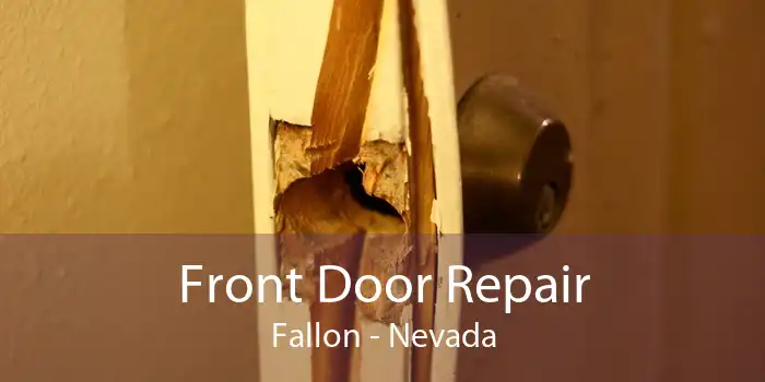Front Door Repair Fallon - Nevada