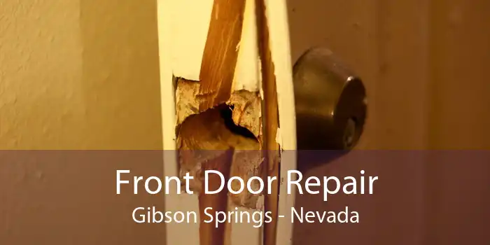 Front Door Repair Gibson Springs - Nevada
