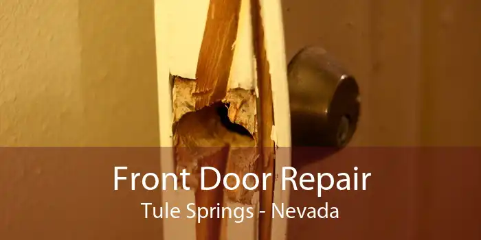 Front Door Repair Tule Springs - Nevada