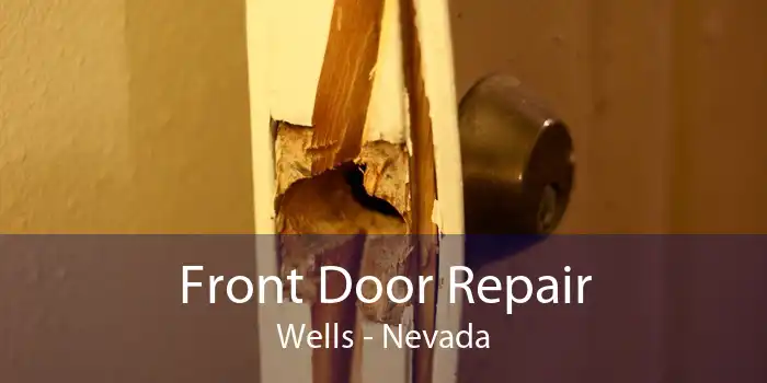 Front Door Repair Wells - Nevada