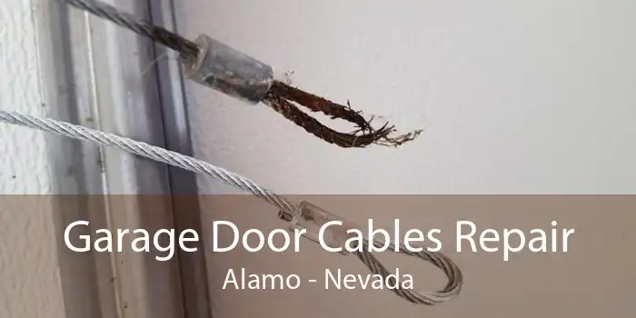 Garage Door Cables Repair Alamo - Nevada