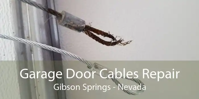 Garage Door Cables Repair Gibson Springs - Nevada