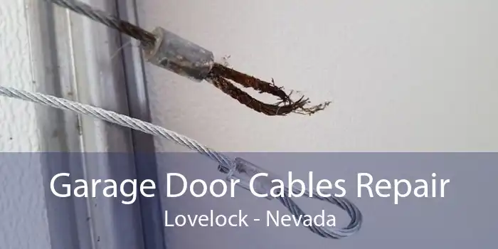 Garage Door Cables Repair Lovelock - Nevada