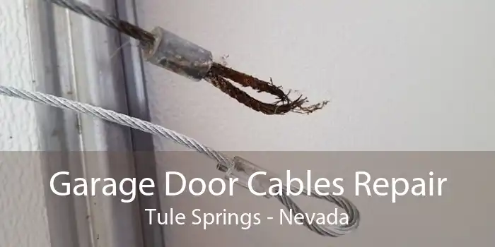 Garage Door Cables Repair Tule Springs - Nevada