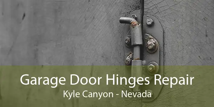 Garage Door Hinges Repair Kyle Canyon - Nevada
