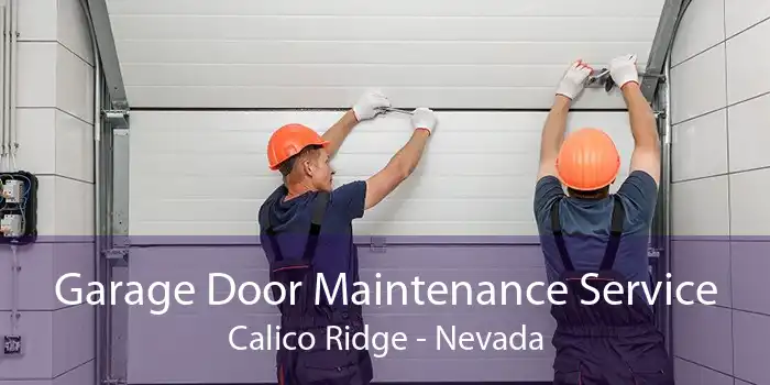 Garage Door Maintenance Service Calico Ridge - Nevada