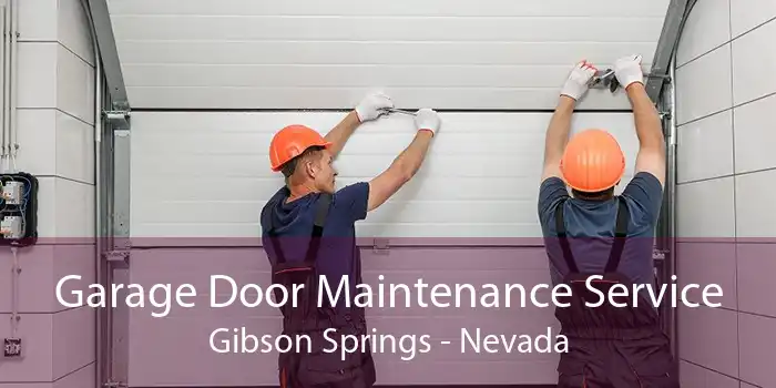 Garage Door Maintenance Service Gibson Springs - Nevada