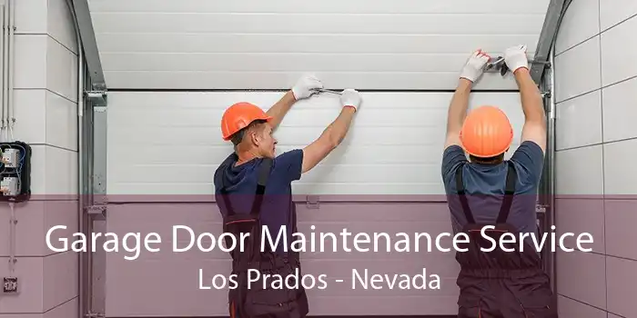 Garage Door Maintenance Service Los Prados - Nevada