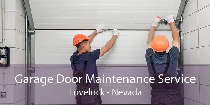 Garage Door Maintenance Service Lovelock - Nevada