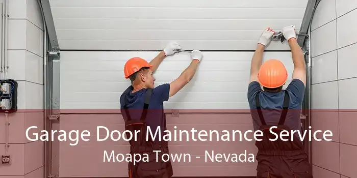 Garage Door Maintenance Service Moapa Town - Nevada