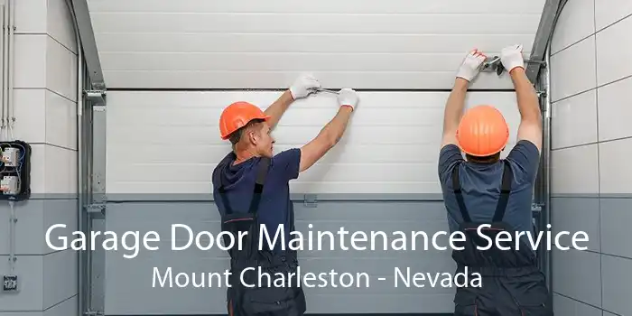 Garage Door Maintenance Service Mount Charleston - Nevada