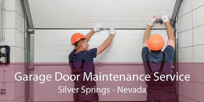 Garage Door Maintenance Service Silver Springs - Nevada