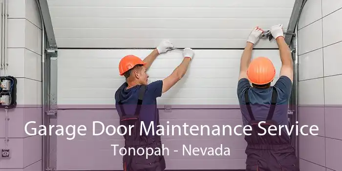Garage Door Maintenance Service Tonopah - Nevada